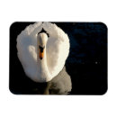 Buscar reflexiones imanes Pintar