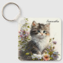 Buscar kitten accesorios Animales