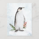 Buscar pingüino blanco y negro postales Nieve