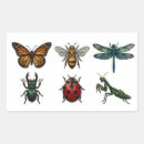 Buscar bicho pegatinas Libélula