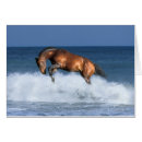 Buscar francais postales Ecuestre