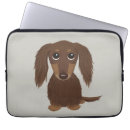 Buscar doxie electronica Dachsie