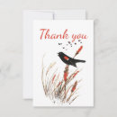 Buscar blackbird tarjetas Naturaleza