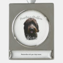 Buscar griffon Griffon apuntante