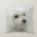 Buscar perro de perrito tiro General y unisex