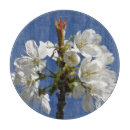 Buscar primavera tablas cortar General y unisex