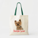 Buscar perro del terrier yorkshire de bolsos Yorkie