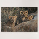 Buscar cachorro puzzles Gatos salvajes