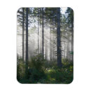 Buscar rayo de sol rectangulares imanes Paisaje