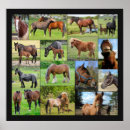 Buscar caballo lindo posters General y unisex