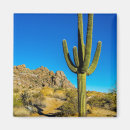 Buscar cactus del saguaro imanes Paisaje