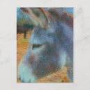 Buscar burro postales Caballo