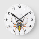 Buscar arácnidos relojes de pared Naturaleza
