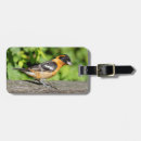 Buscar cierre etiquetas para maletas Pájaro