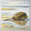 Buscar herradura arte Cangrejo