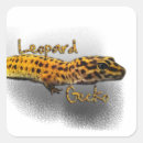 Buscar gecko pegatinas Leopardo