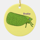 Buscar insectos adornos General y unisex