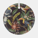 Buscar bosque tropical adornos Animal