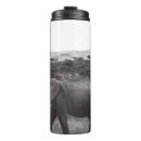 Buscar elefante gris tazas Naturaleza