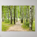 Buscar abatimiento arte Bosque