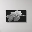 Buscar radiografía decoracion Hojas