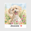 Buscar caniche pegatinas Para mascotas