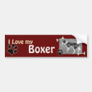 Buscar boxeador pegatinas parachoque Perrito