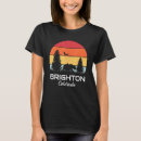 Buscar brighton camisetas Retro