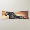 Buscar caballos hermosos cojines Para todos