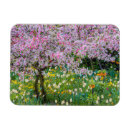 Buscar monet imanes Colorido