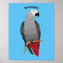 Buscar loro gris posters Africano