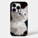 Buscar amor del gato iphone fundas Para ella