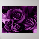 Buscar bouqet Belleza