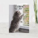Buscar kittie tarjetas Para todos