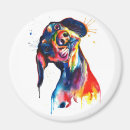 Buscar doxie imanes Colorido