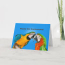 Buscar loros tarjetas Parejas
