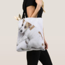 Buscar jack russell bolsos Lindo