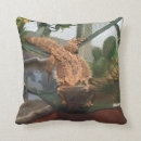 Buscar barbudo cojines Lagarto