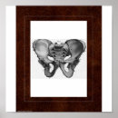Buscar paranormal decoracion Sobrenatural