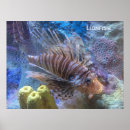 Buscar lionfish arte Foto de lionfish