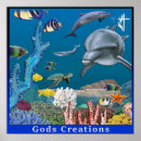 Buscar creación de dios posters Religioso