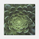 Buscar el mundo natural imanes Verde