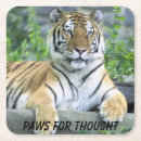 Buscar tiger posavasos Safari