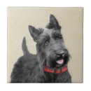 Buscar scottish azulejos Scottie