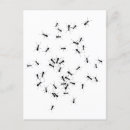 Buscar hormiga negra postales Hormigas