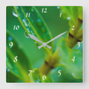 Buscar gotas lluvia de relojes de pared Verde