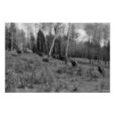 Buscar manada de caballos posters Rancho