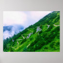 Buscar pulmones posters Naturaleza
