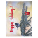 Buscar pájaros manteles General y unisex