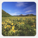 Buscar cubre postales Amarillo